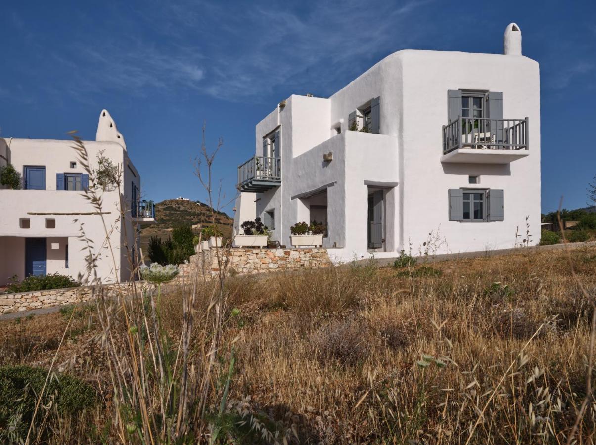 Amelie Villa With Pool And Amazing Sea Views, Paros Márpissa 外观 照片