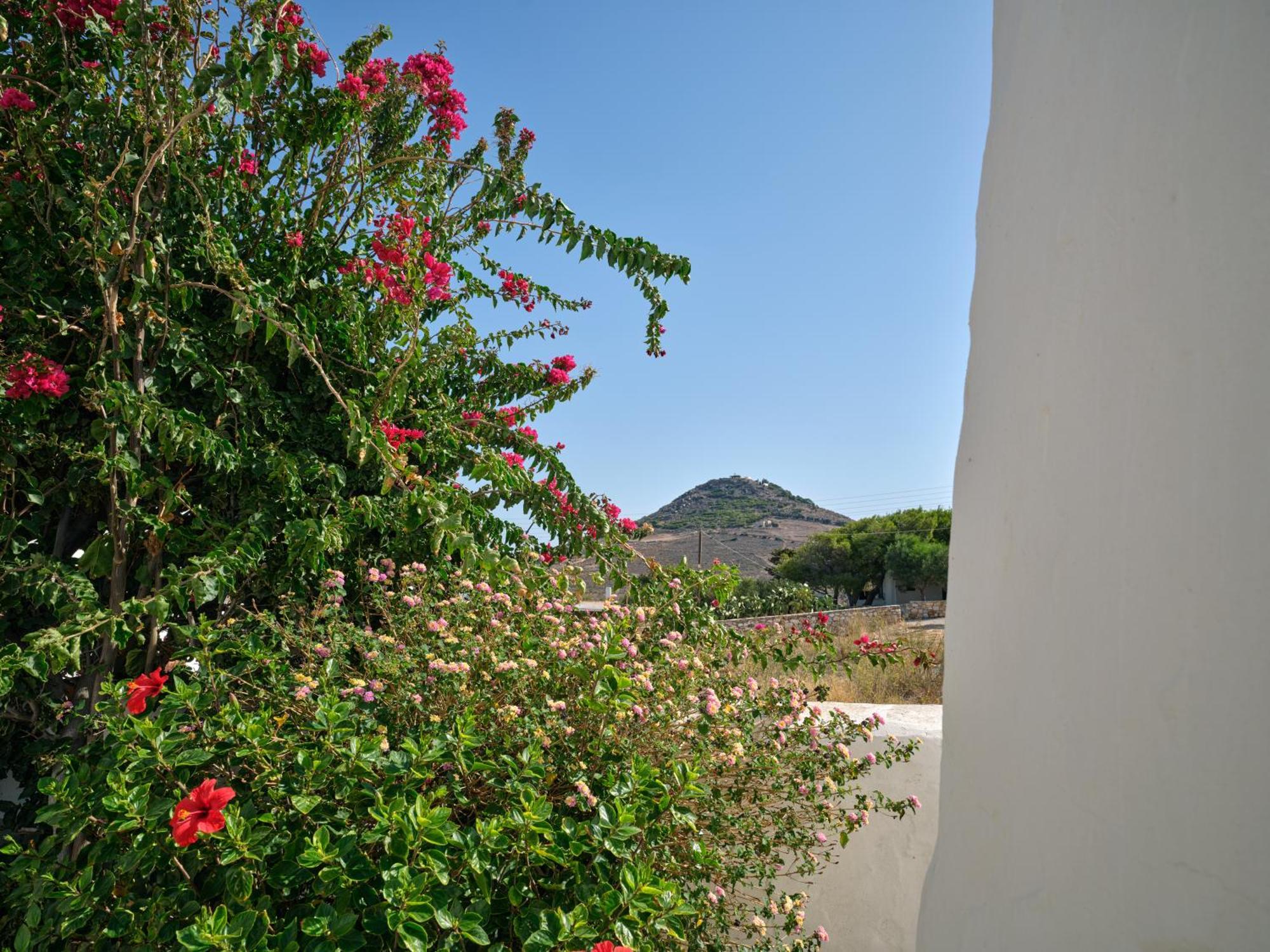 Amelie Villa With Pool And Amazing Sea Views, Paros Márpissa 外观 照片